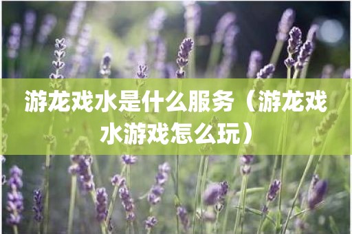 游龙戏水是什么服务（游龙戏水游戏怎么玩）