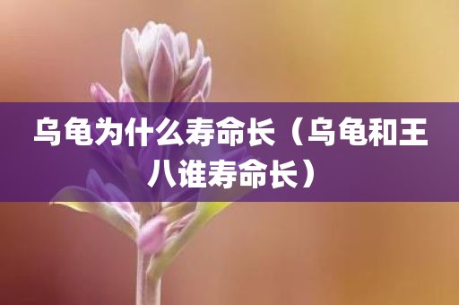 乌龟为什么寿命长（乌龟和王八谁寿命长）
