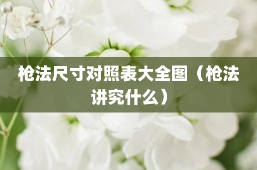 枪法尺寸对照表大全图（枪法讲究什么）