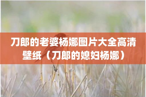 刀郎的老婆杨娜图片大全高清壁纸（刀郎的媳妇杨娜）