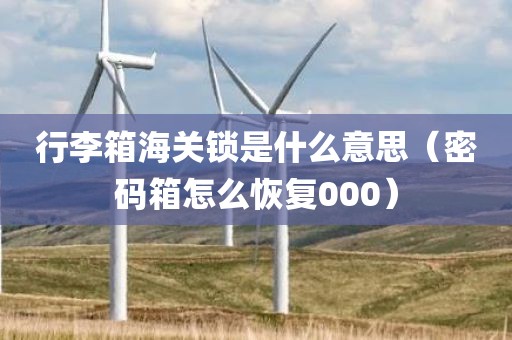 行李箱海关锁是什么意思（密码箱怎么恢复000）