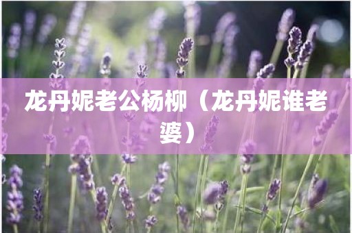 龙丹妮老公杨柳（龙丹妮谁老婆）