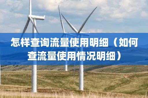 怎样查询流量使用明细（如何查流量使用情况明细）