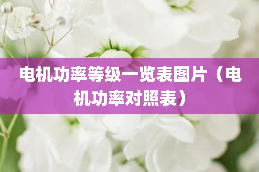 电机功率等级一览表图片（电机功率对照表）