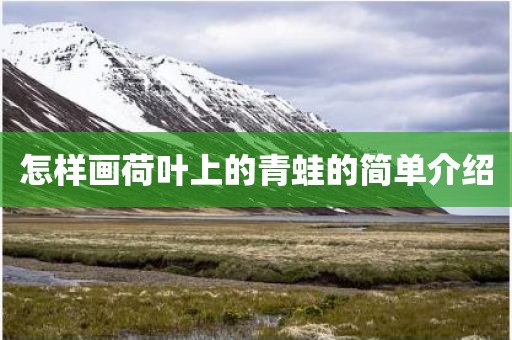 怎样画荷叶上的青蛙的简单介绍