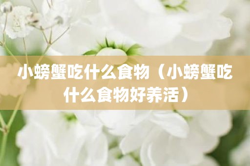 小螃蟹吃什么食物（小螃蟹吃什么食物好养活）