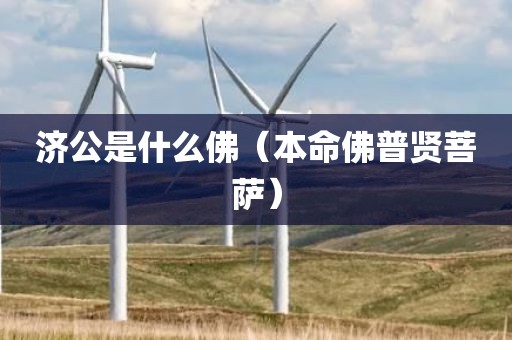 济公是什么佛（本命佛普贤菩萨）