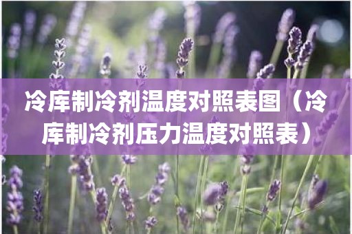 冷库制冷剂温度对照表图（冷库制冷剂压力温度对照表）