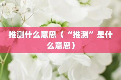 推测什么意思(“推测”是什么意思) - 图小雯知识
