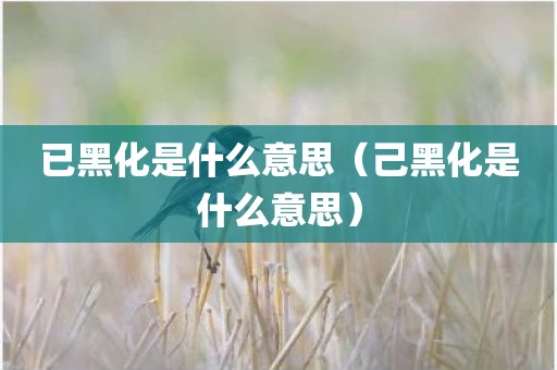 已黑化是什么意思(己黑化是什么意思)