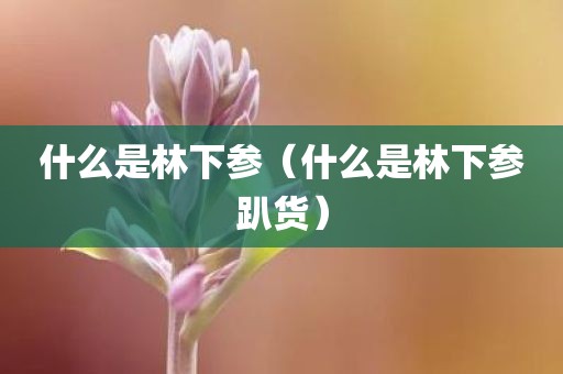 什么是林下参（什么是林下参趴货）