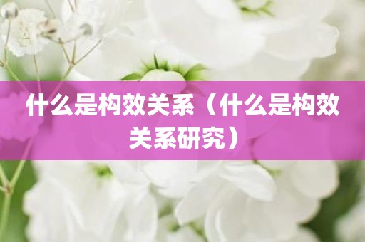 什么是构效关系（什么是构效关系研究）