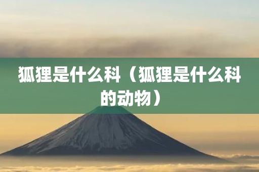 狐狸是什么科（狐狸是什么科的动物）