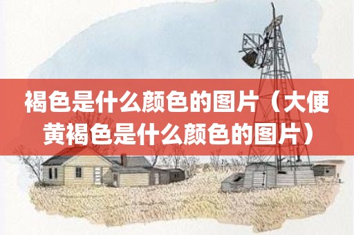 褐色是什么颜色的图片（大便黄褐色是什么颜色的图片）