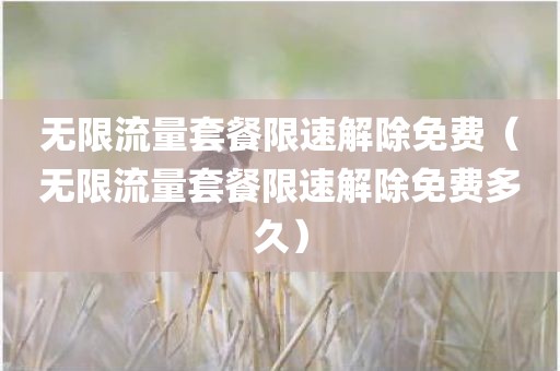 无限流量套餐限速解除免费(无限流量套餐限速解除免费多久)