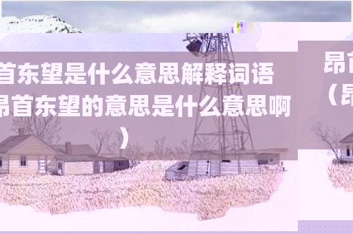昂首东望是什么意思解释词语（昂首东望的意思是什么意思啊）