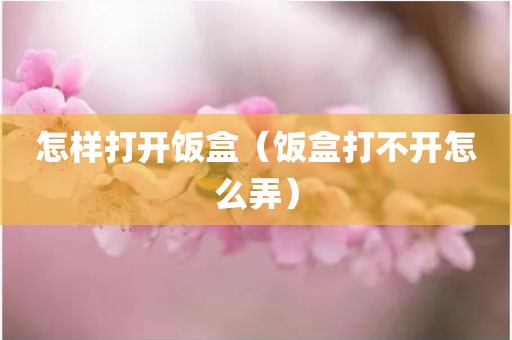 怎样打开饭盒（饭盒打不开怎么弄）