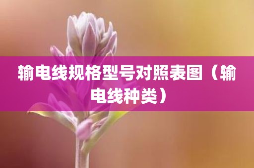 输电线规格型号对照表图（输电线种类）