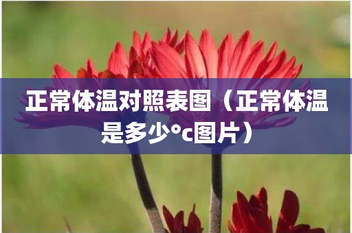 正常体温对照表图（正常体温是多少°c图片）