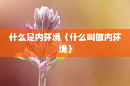 什么是内环境（什么叫做内环境）