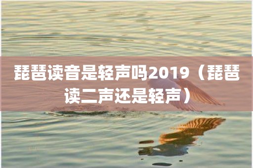 琵琶读音是轻声吗2019（琵琶读二声还是轻声）