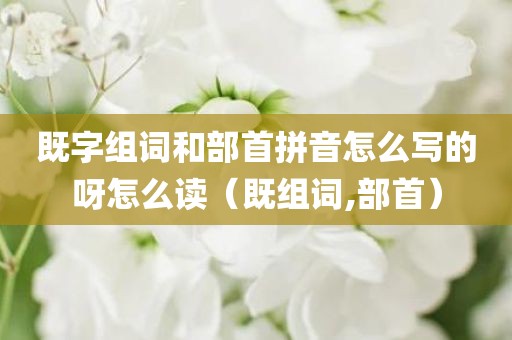 既字组词和部首拼音怎么写的呀怎么读（既组词,部首）