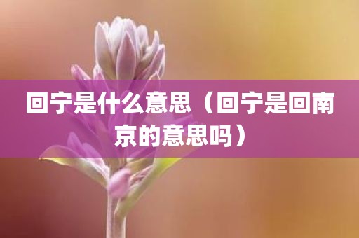 回宁是什么意思（回宁是回南京的意思吗）