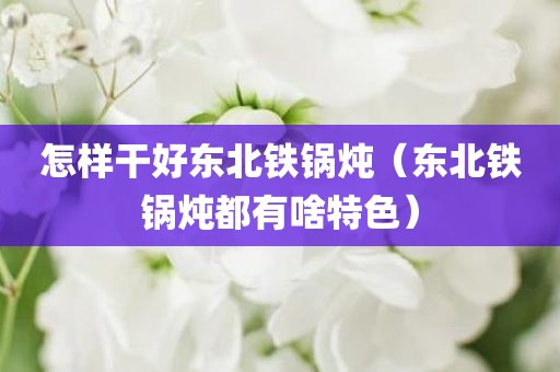 怎样干好东北铁锅炖（东北铁锅炖都有啥特色）