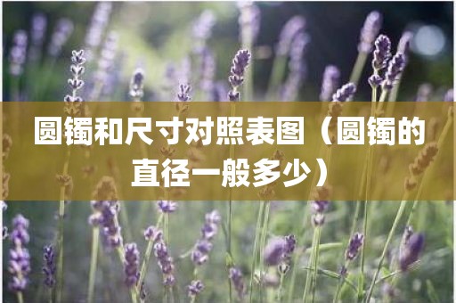圆镯和尺寸对照表图（圆镯的直径一般多少）
