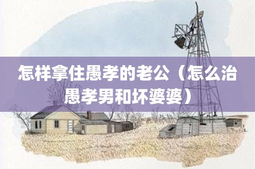 怎样拿住愚孝的老公（怎么治愚孝男和坏婆婆）