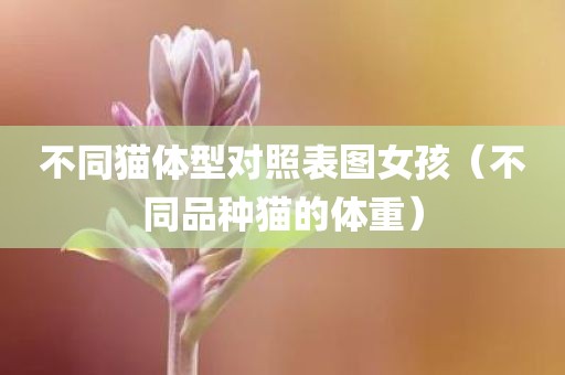 不同猫体型对照表图女孩（不同品种猫的体重）