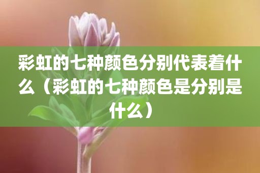 彩虹的七种颜色分别代表着什么（彩虹的七种颜色是分别是什么）