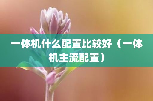 一体机什么配置比较好（一体机主流配置）