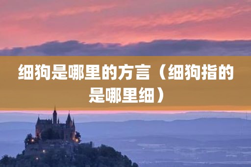 细狗是哪里的方言（细狗指的是哪里细）