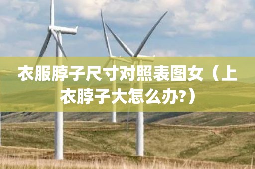衣服脖子尺寸对照表图女（上衣脖子大怎么办?）