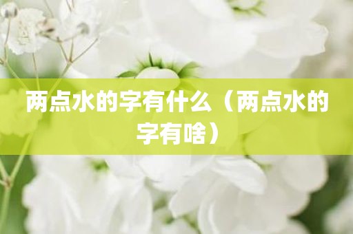 两点水的字有什么（两点水的字有啥）