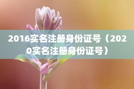 2016实名注册身份证号(2020实名注册身份证号)