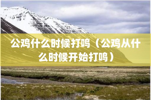 公鸡什么时候打鸣（公鸡从什么时候开始打鸣）