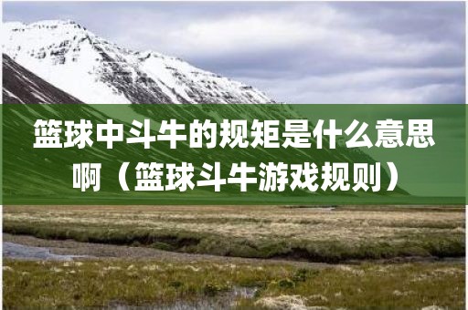 篮球中斗牛的规矩是什么意思啊(篮球斗牛游戏规则)