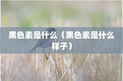 黑色素是什么（黑色素是什么样子）