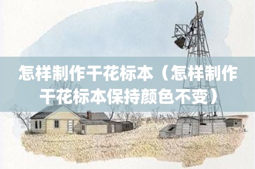 怎样制作干花标本（怎样制作干花标本保持颜色不变）