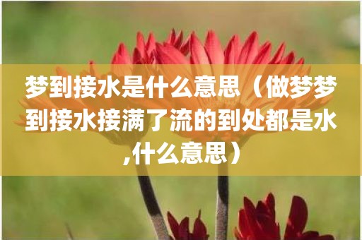 梦到接水是什么意思（做梦梦到接水接满了流的到处都是水,什么意思）
