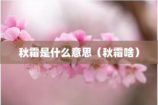 秋霜是什么意思（秋霜啥）