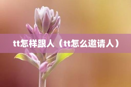 tt怎样跟人（tt怎么邀请人）
