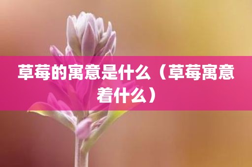 草莓的寓意是什么（草莓寓意着什么）
