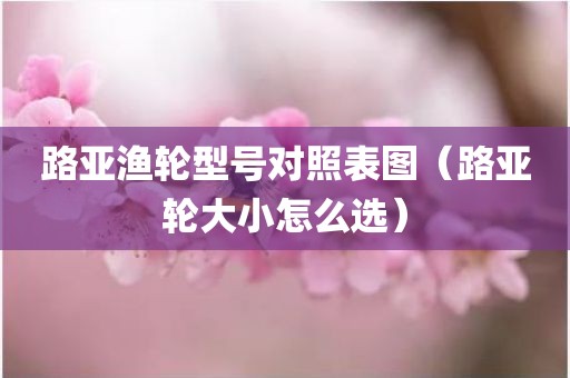 路亚渔轮型号对照表图（路亚轮大小怎么选）