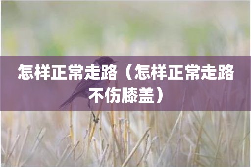 怎样正常走路（怎样正常走路不伤膝盖）