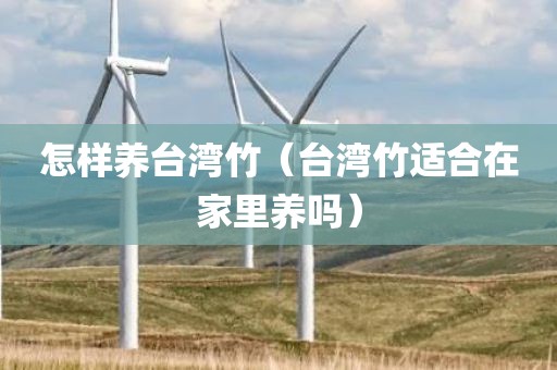 怎样养台湾竹（台湾竹适合在家里养吗）