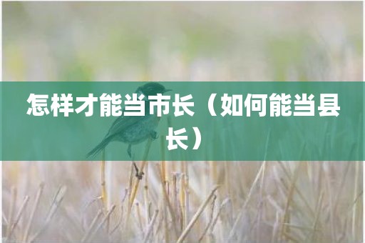 怎样才能当市长（如何能当县长）