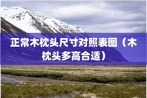 正常木枕头尺寸对照表图（木枕头多高合适）